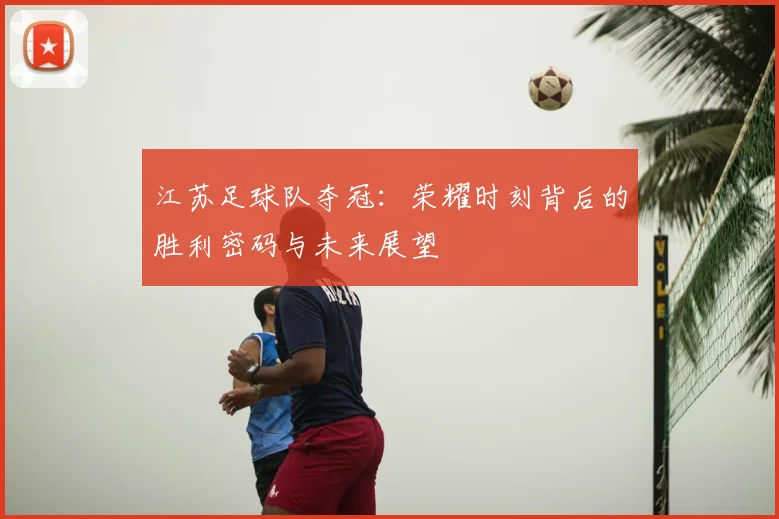 江苏足球队夺冠：荣耀时刻背后的胜利密码与未来展望